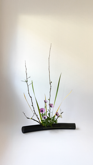 - Ikebana & Inner Balance Workshop